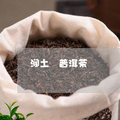 润土 普洱茶/2023042729826